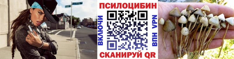 Галлюциногенные грибы Magic Shrooms  Гдов 